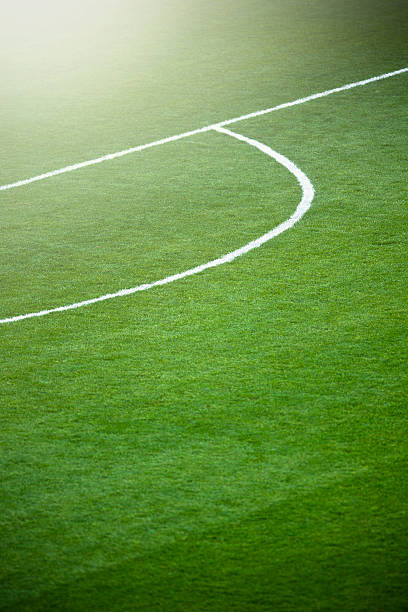 istock Grass turf on a sports field 163352465
