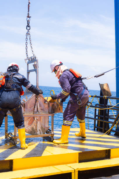 istock Teamwork in marine organism 1633569771