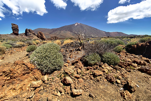 Pico del Teide, the highest mountain of Spain. Beautiful sunrise by the volcano. Epic volcanic rocks, cliffs, lava, forest. Premium landscape from pure national park, Tenerife, Canary Islands