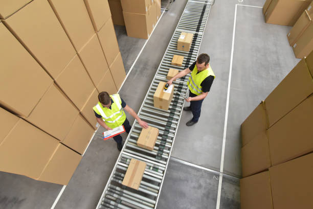 istock Worker in a warehouse in the logistics sector processing packages on the assembly line  - transport and processing of orders in trade 1633617341