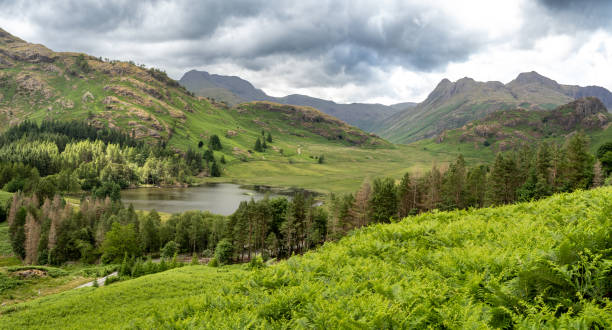 istock View of Blea Tarn from Lingmoor Fell, England 1633624899