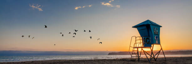 Lifeguard tower and seagulls on Coronado beach, panoramic sunset in San Diego, California stock photo