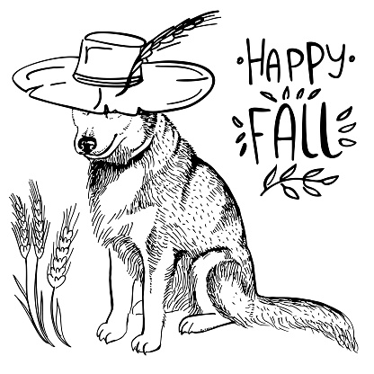 Husky dog in cowboy hat and lettering Happy Fall on white background. Vector illustration. Template for a card or poster.