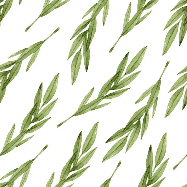 Vector illustration of Olive branches watercolor seamless pattern on white background