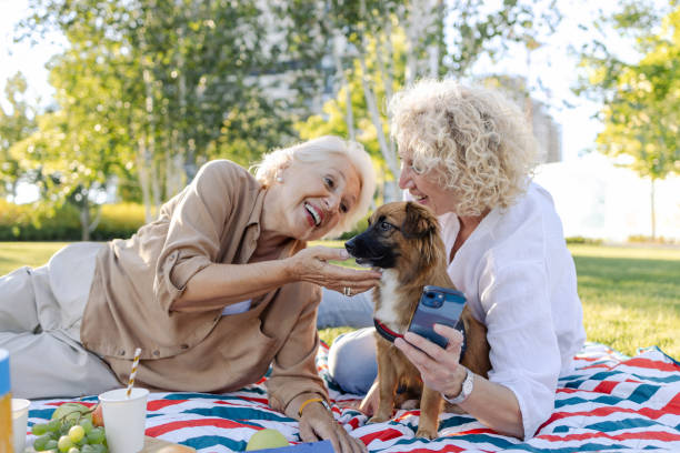 istock Family day in nature 1633658318
