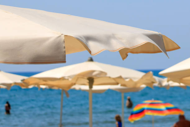 istock Parasols on sea beach 1633665828