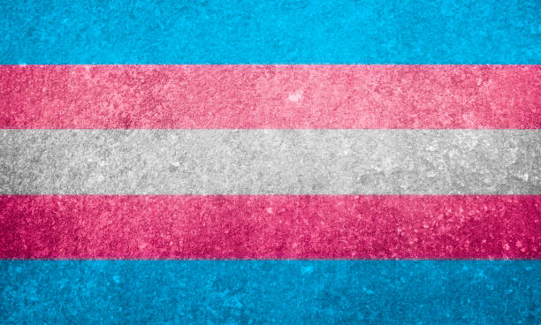 istock LGBT flag texture as the background 1633668095