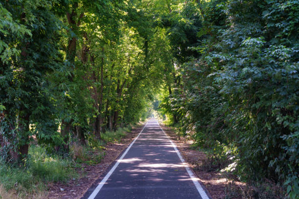 Cycleway in the Adda park near Basiasco, in Lodi province, Lom,bardy, Italy, at June