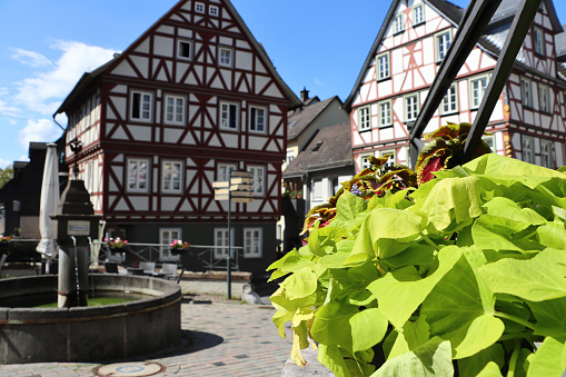 A plant in German town of Bad Nauheim