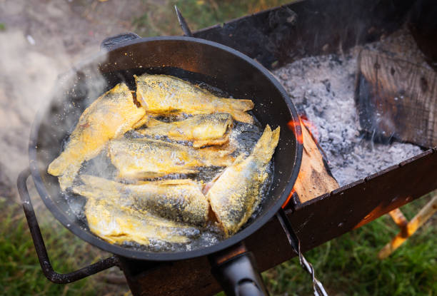 Fish in a pan over an open fire. Summer vacation near the lake, good catch, fresh fish
