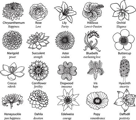 20 flowers with good meanings. Vector illustration.