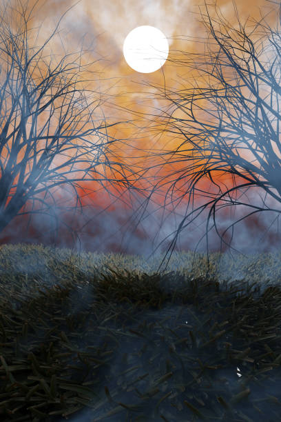 Halloween.Mysterious dark forest in fog with moon. 3D rendering
