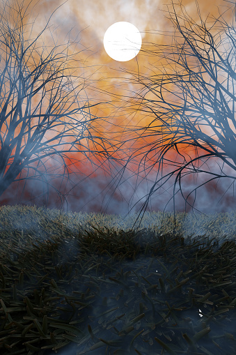 Halloween.Mysterious dark forest in fog with moon. 3D rendering