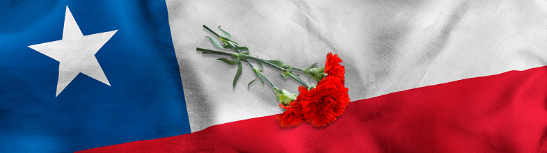 Image of three red carnations lying on the flag of Chile