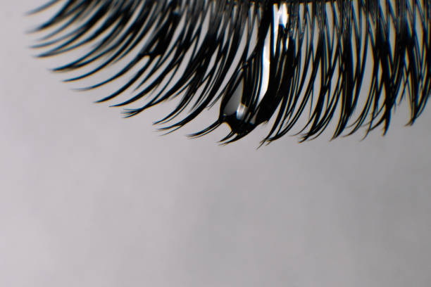 Close up of black eyelashes with drop of water on cilia using for lash extension procedure hanging against gray wall. Close up of black artificial eyelashes with drop of water on cilia using for lash extension procedure hanging against light gray background, perfect for creating voluminous and glamorous look. clump eyelashes stock pictures, royalty-free photos & images