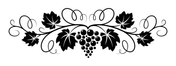 ilustraciones, imágenes clip art, dibujos animados e iconos de stock de patrón decorativo de vid de uvas. - vine label grape wine