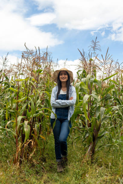 istock Empowered woman in her maize farm 1633795219