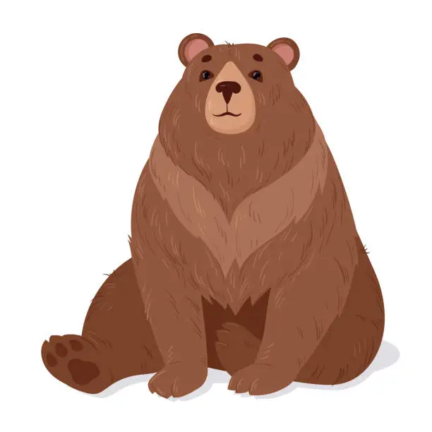 Vector illustration of Brown bear. Cartoon wild nature predator, sitting cute bear. Forest mammal animal flat vector illustration. Wild bear
