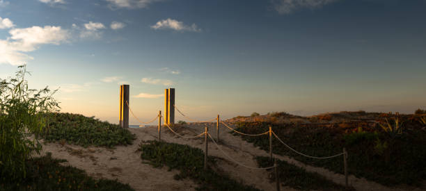 istock Sunset on the beach in the dunes 1633815098