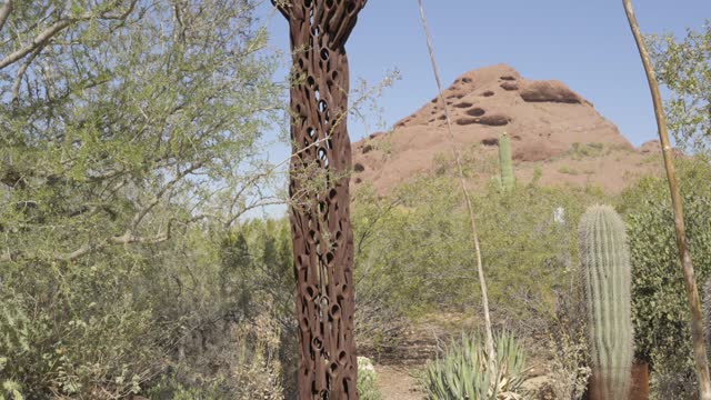 metal cactus sculpture