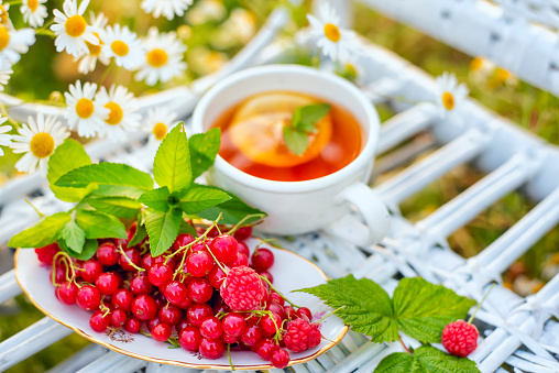 red berries of red currant and raspberry and a cup of tea on a wicker white chair among a field with daisies . Summer mood. The concept of summer outdoor recreation, relaxation