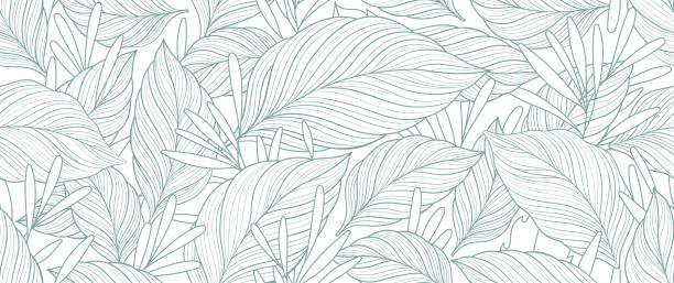 illustrations, cliparts, dessins animés et icônes de feuilles de palmier vecteur de motif sans couture. illustration au trait. chemise motif textile de feuilles de bananier vectoriel. rétro background prints abstract - tropical climate florida backgrounds island