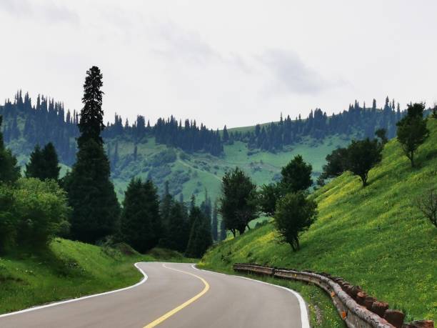 istock Selati Grassland  Roadtrip roadside picture shot while driving 1633908077