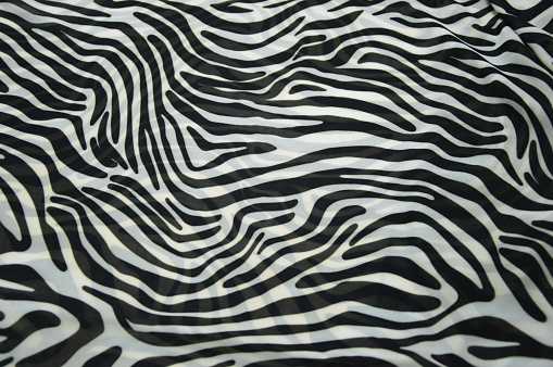 A fragment of a striped black and white pattern on a fabric as a background texture. Animal abstract background.