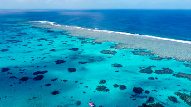 do topo da ilha de mañagaha - saipan - fotografias e filmes do acervo