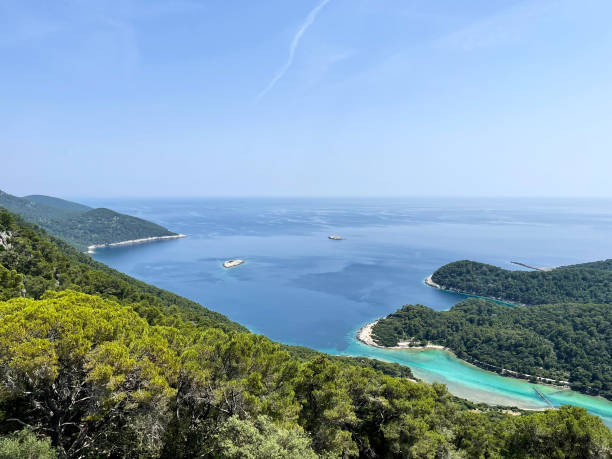 istock Mljet National Park, Croatia 1633935664