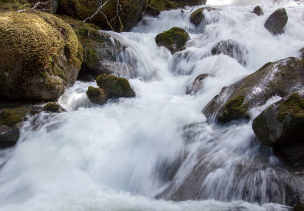 istock Skagway Town Shallow Creek Stream 1633942051