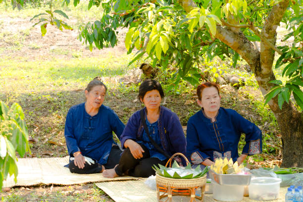 Thai farm women are having a picnic between trees. Women are wearing traditional blue fashion for farm worker. They are sitting in shadow of a tree. Scene is in Chiang Mai province in plantation area. Women are sitting on plaids and have some food in front