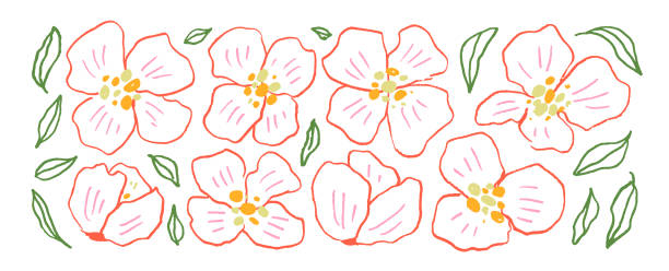 ilustrações de stock, clip art, desenhos animados e ícones de colorful abstract linear peonies flowers collection. - 7583