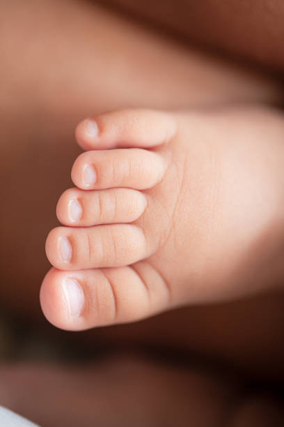 pés do bebê, pés do bebê nas mãos, pés de bebê recém-nascido minúsculo nas mãos, retrato close-up feminino, mãe e seu bebê, conceito de família feliz, bela imagem de concepção do parto. - human pregnancy massaging midwife prenatal care - fotografias e filmes do acervo