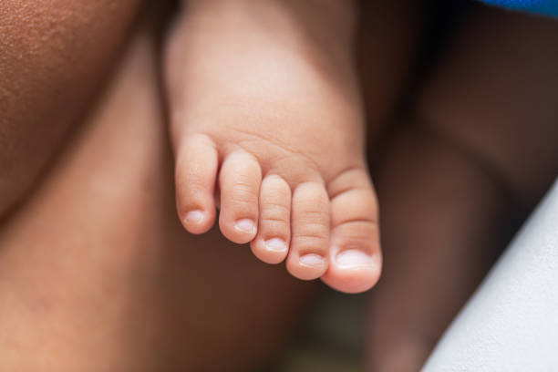 pés do bebê, pés do bebê nas mãos, pés de bebê recém-nascido minúsculo nas mãos, retrato close-up feminino, mãe e seu bebê, conceito de família feliz, bela imagem de concepção do parto. - human pregnancy massaging midwife prenatal care - fotografias e filmes do acervo