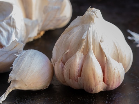 A closeup of Garlic bulb with individual garlic cloves from organic cultivation with a dark background