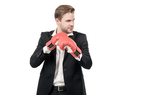 Serious businessman man wear formal suit and boxing fight gloves isolated on white copy space, fighting.