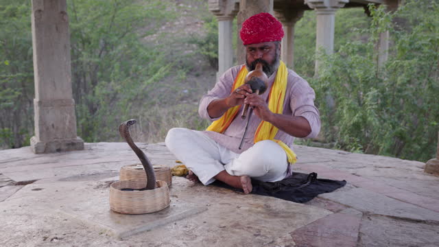 Indian snake charmer, Jaipur, Rajasthan