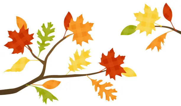 Vector illustration of Plaid fall branches