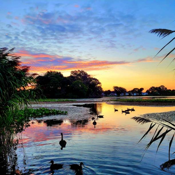 istock The lake with a colorful dawn 1634153592