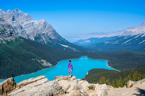 Forest and mountains in distance, Banff NP, Alberta