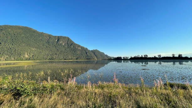 istock Pitt Lake - Grant Narrows Regional Park 1634234701