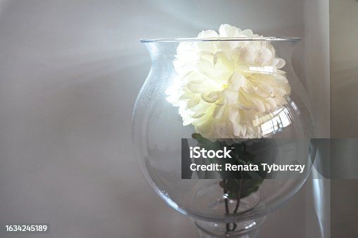 istock Blooming white flower inside wine glass used as a decoration 1634245189