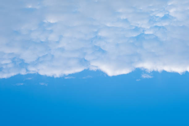 Dense white horizontal clouds in half the frame and blue sky. A heavenly background to overlay on your photos. Perfect sky to replace the background