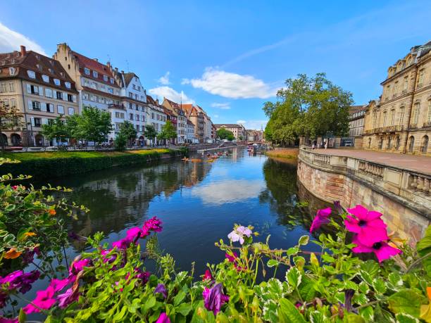 istock Flowers of Strasbourg 1634306406