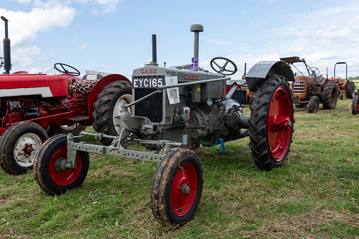 Vintage farm tractor in an apple orchard.