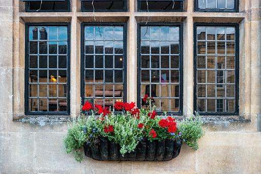 Old window and flower box in Cotswolds region, England, UK