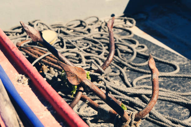 Fish industry tools moored harbor marina