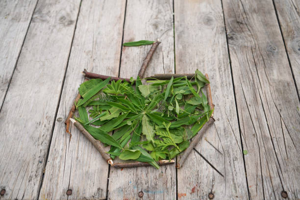 Summer crafts apple made from green leaves and dry sticks. DIY. The development of imagination.
