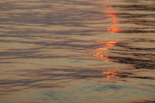 Sunlight reflecting off the waves on the sea at sunset.